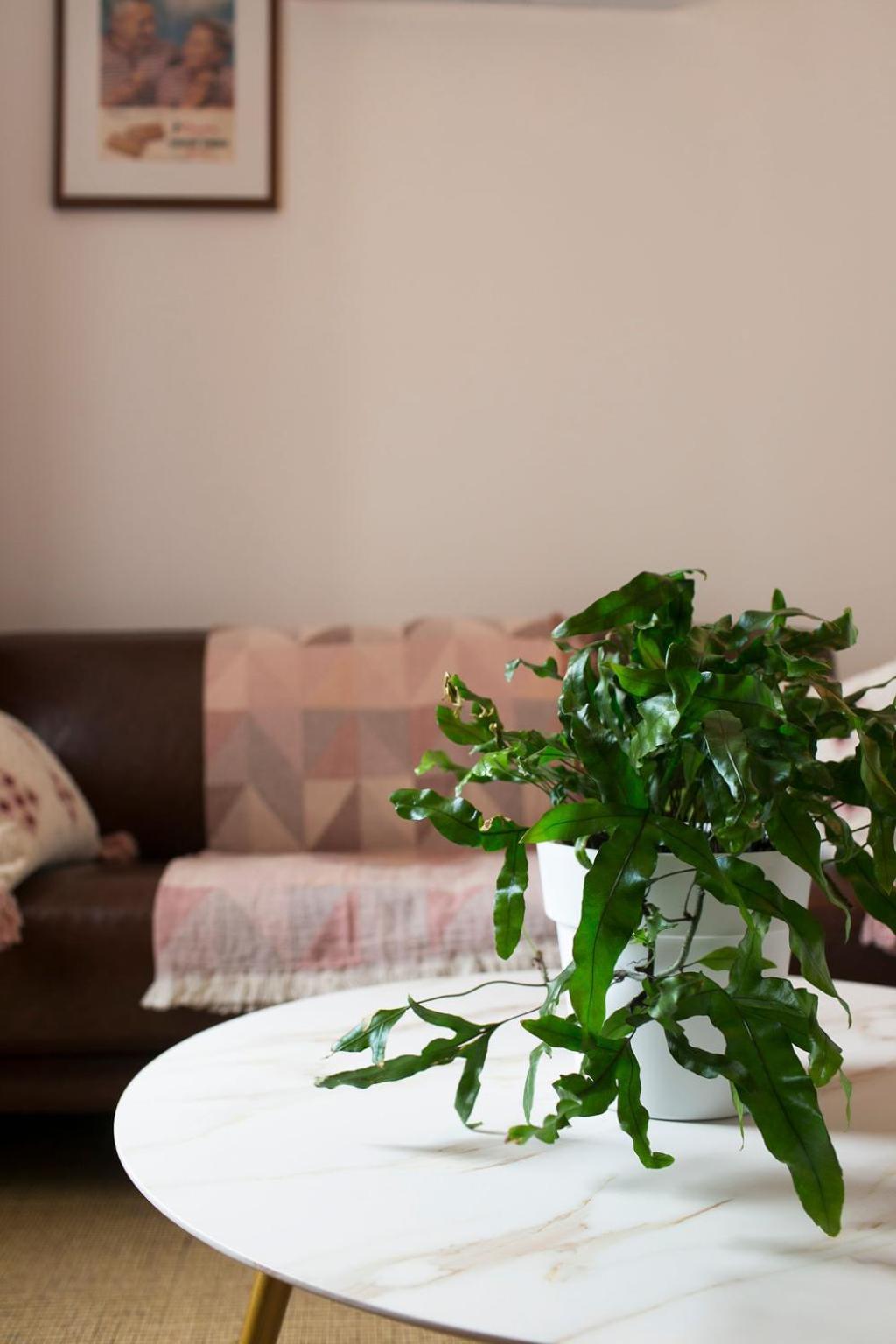 William Arnott Boutique Accommodation Morpeth Δωμάτιο φωτογραφία